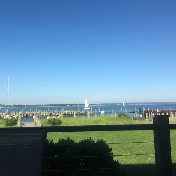 Meet your Posher, Michael - Picture 1 of 1